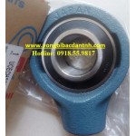 GỐI ĐỠ ECH210 ASAHI